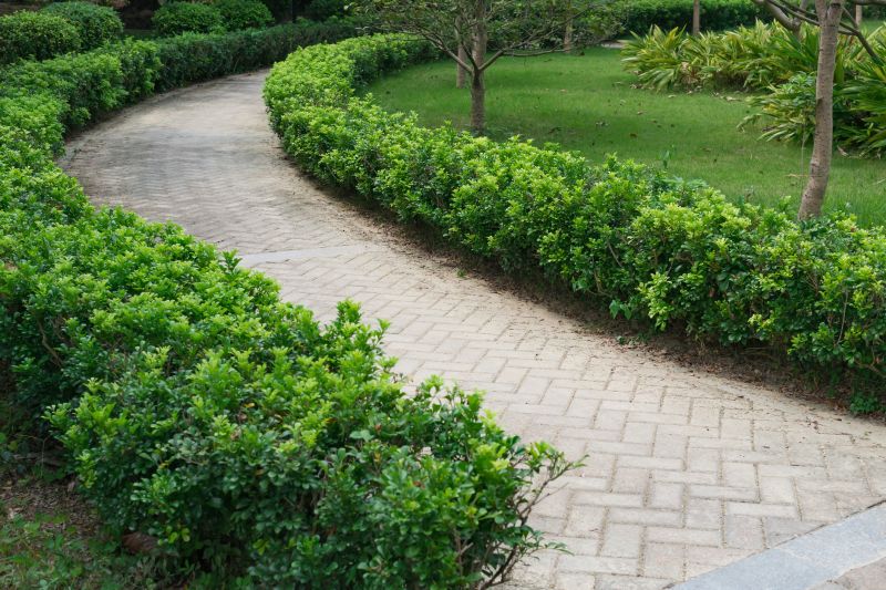 Natural Stone Paver Path